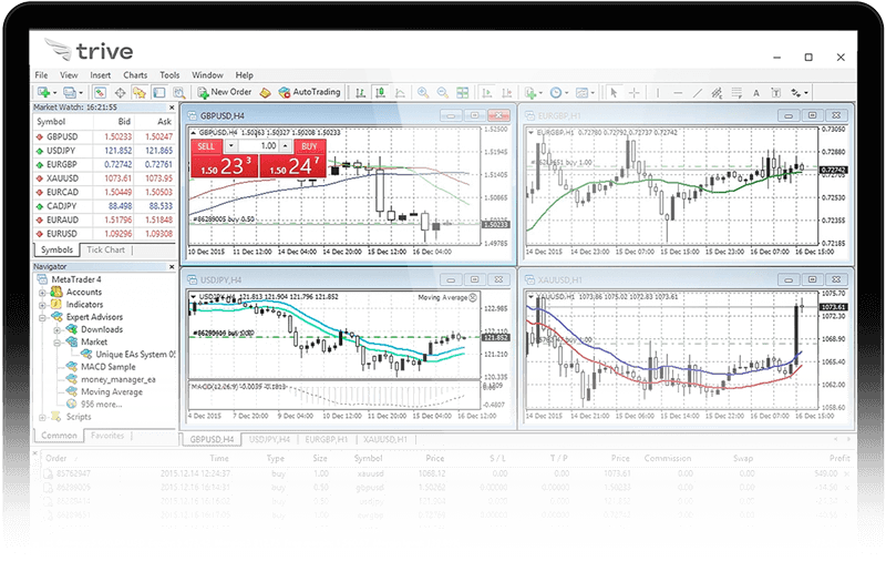 Trive Trader Platform Screenshot