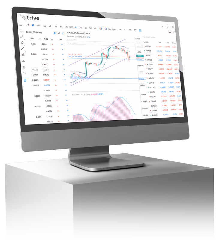 Trive Investor Platform Screenshot